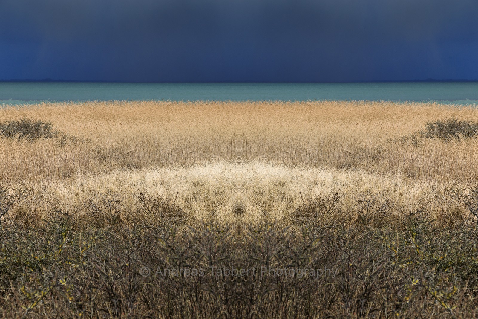 Sym Sylt #6